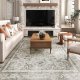5x7ft - Distressed Vintage Bedroom Dining Room Living Room - Machine Washable TP Backing - Gray